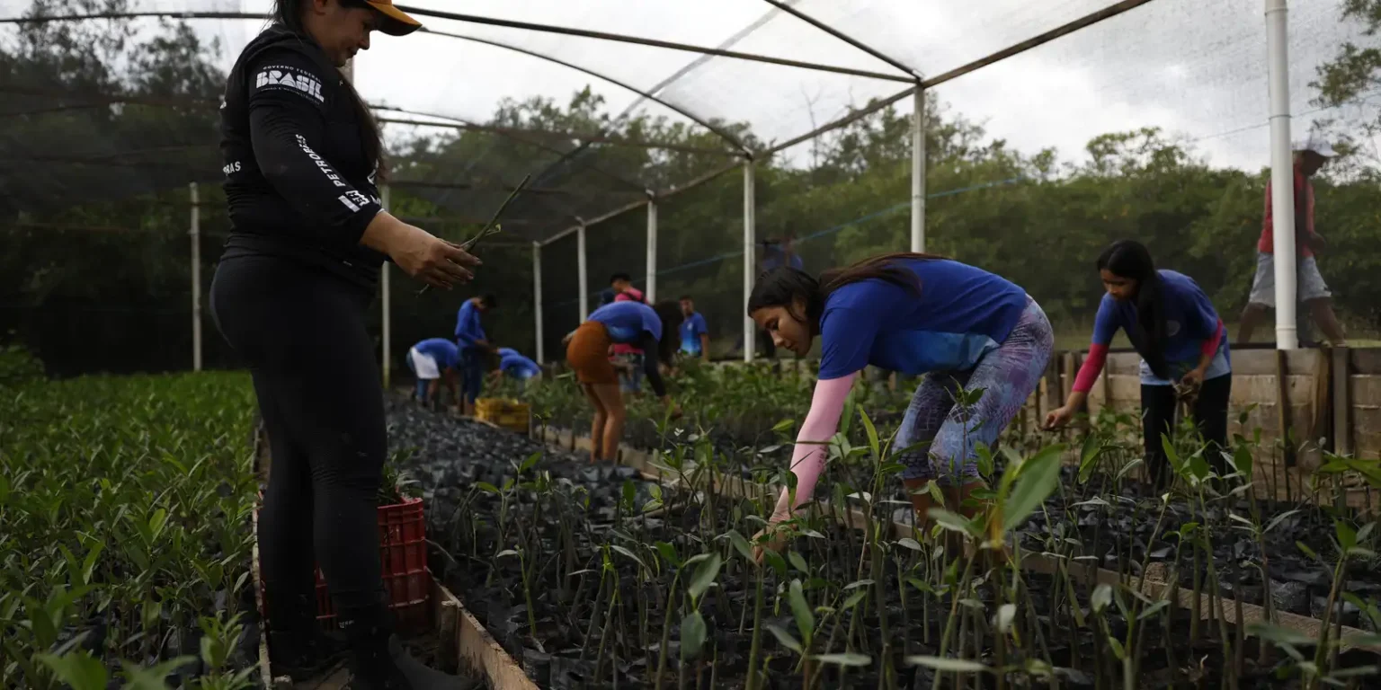 Governo amplia acesso à energia renovável em comunidades amazônicas