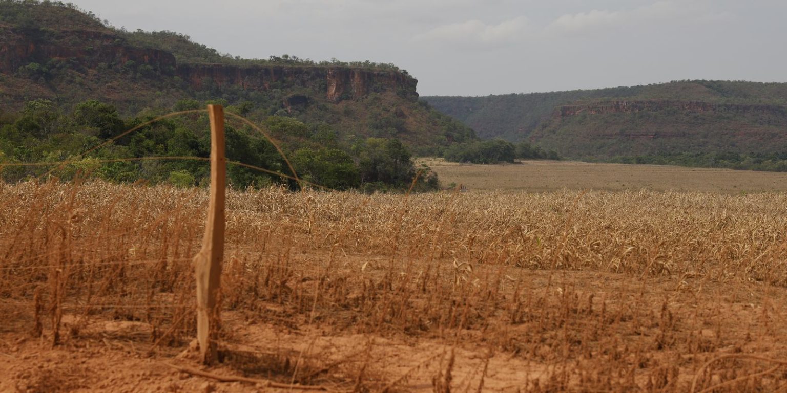 Fronteira do cerrado: conflitos agrários exacerbados pelo acesso desigual à justiça