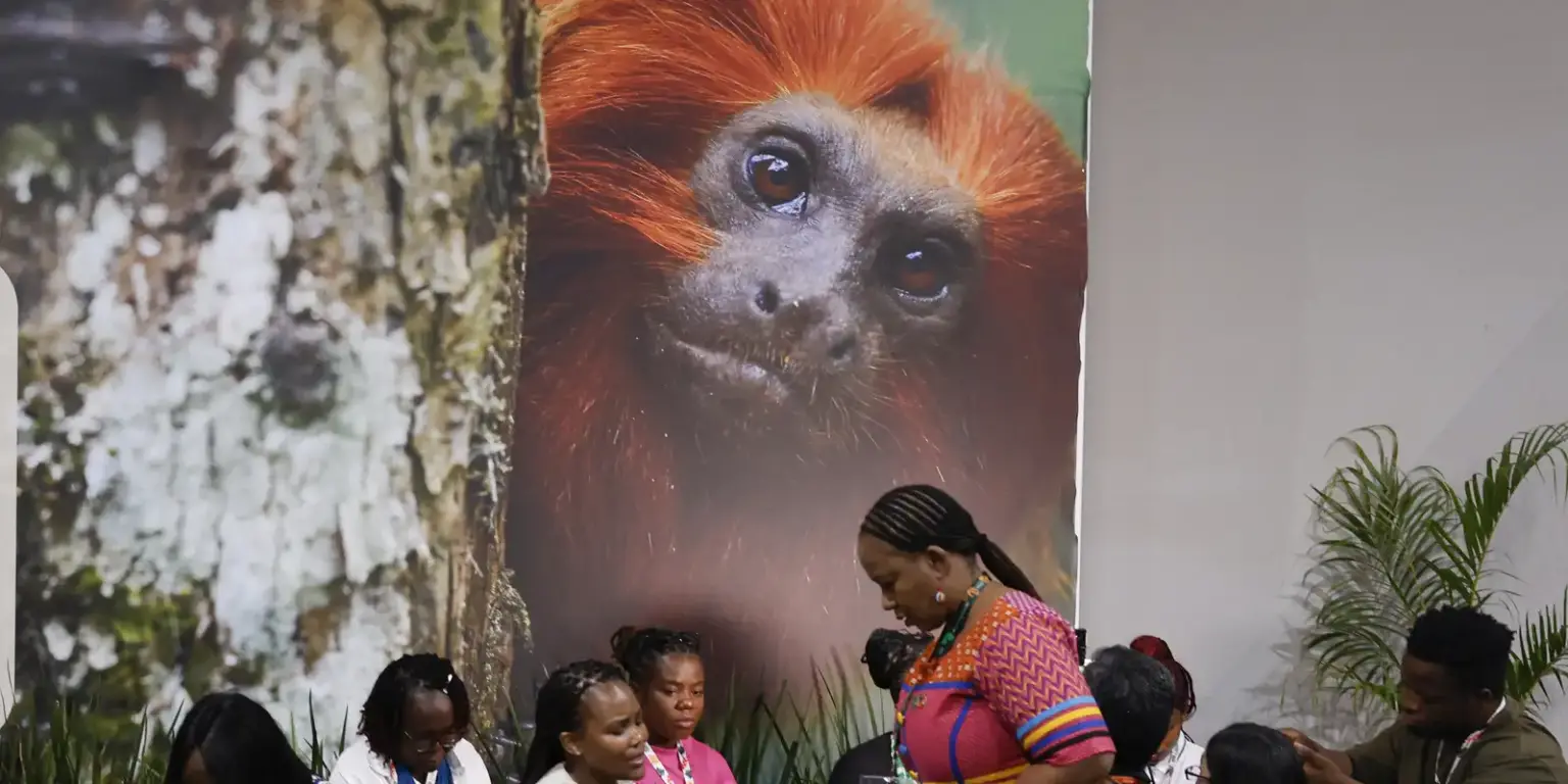 Belém sedia cop30 com foco em clima e financiamento global