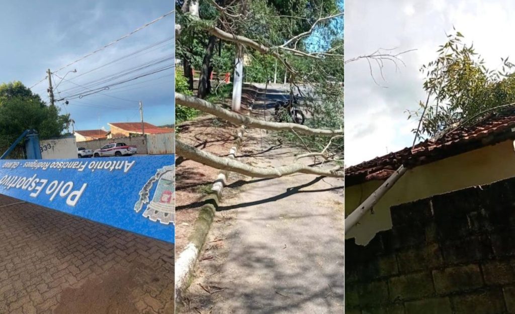 Ventos de 72 km/h derrubam árvores e danificam telhados em Casa Branca,