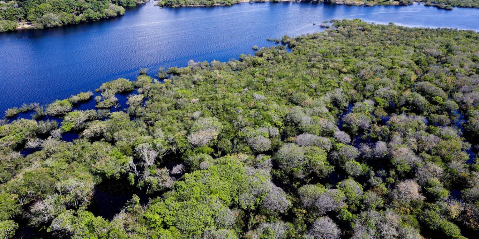 Governo impulsiona combate ao desmatamento na Amazônia com edital
