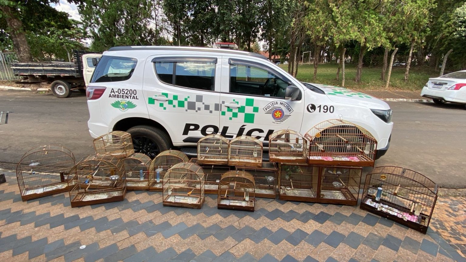 Homem é multado em R$ 9 mil por manter 18 pássaros silvestres em cativeiro em Santa Bárbara d’Oeste