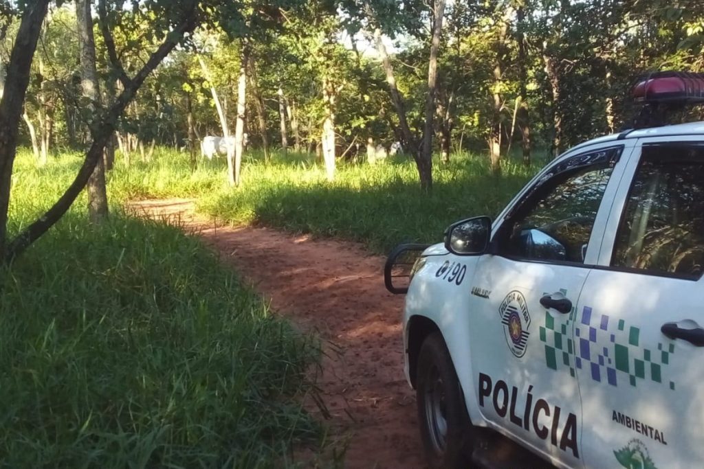 Proprietário é multado em R$ 13,6 mil por infração ambiental em reserva no interior de SP