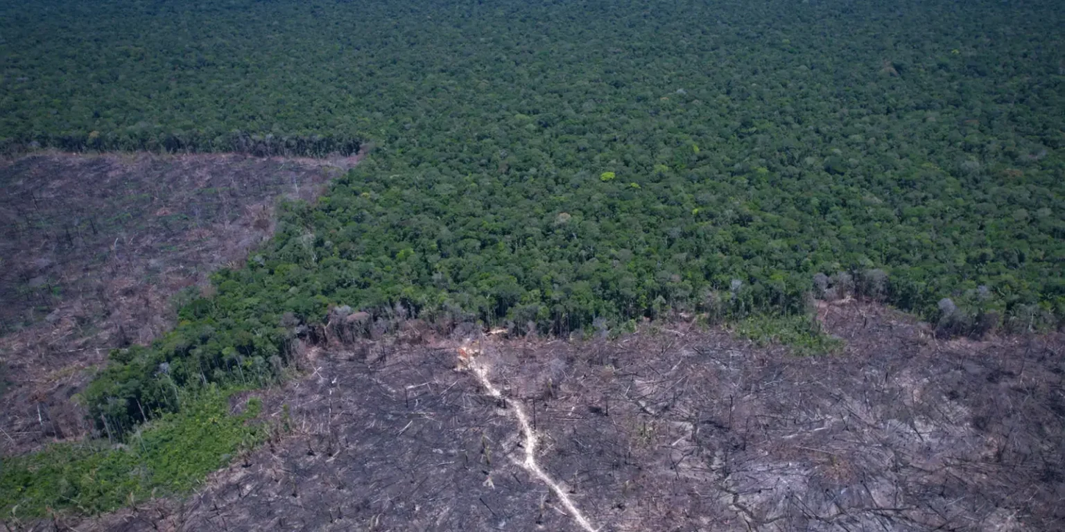 Países discutem inovações contra mudanças climáticas e desmatamento ilegal em conferência da ONU