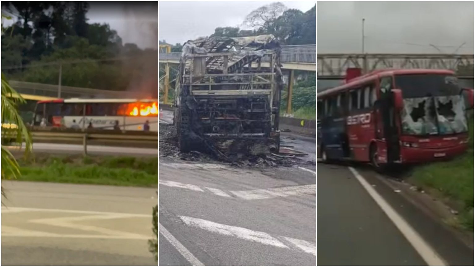 Palmeirense envolvido em emboscada que resultou na morte de torcedor do Cruzeiro é capturado em São Paulo