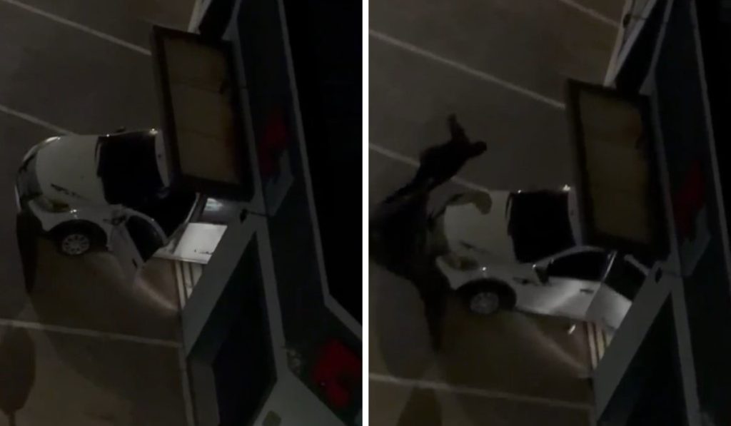 Criminosos utilizam veículo para invadir e furtar farmácia em Campinas