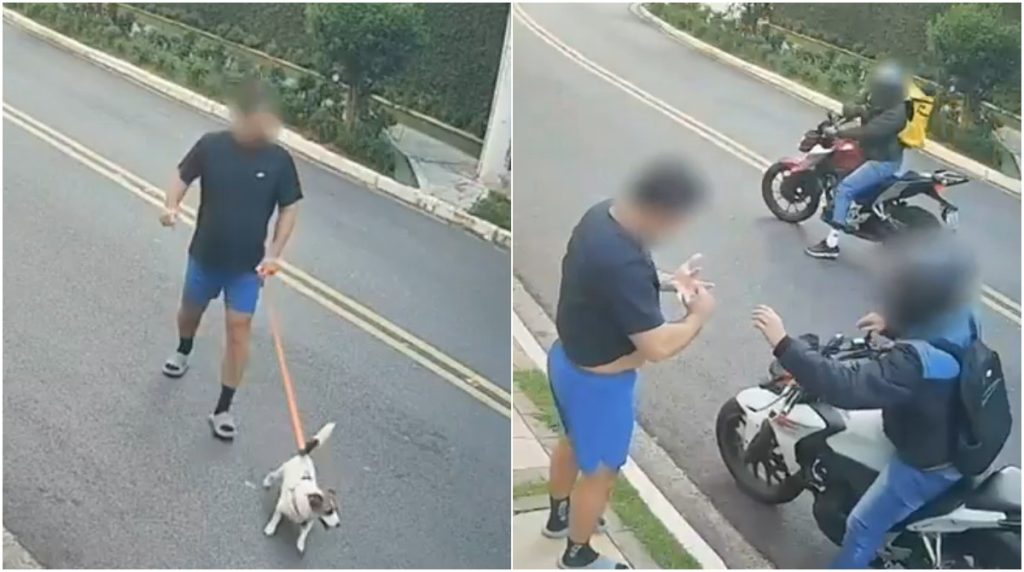 Cachorro escapa de assalto durante roubo de aliança no Morumbi, em São Paulo