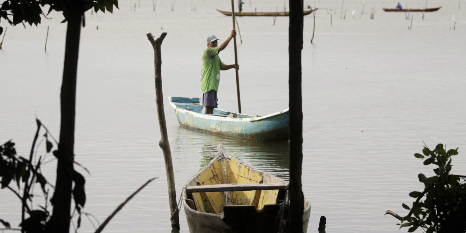 Conferências estaduais de aquicultura e pesca marcam retorno após 16 anos