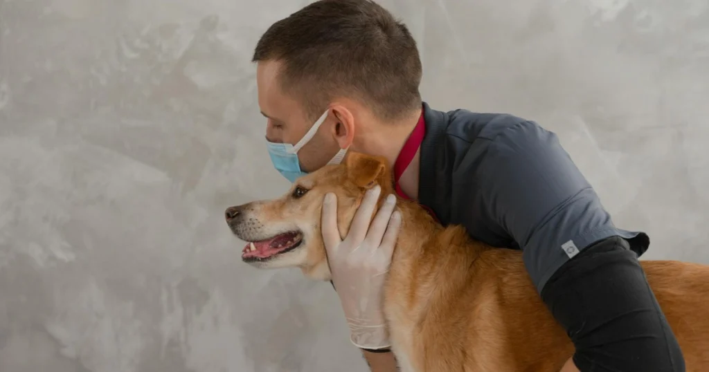 o que é microbioma intestinal do pet e importância