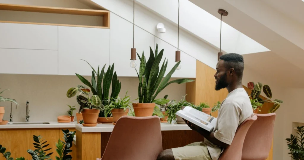 dicas para decorar com plantas em casa