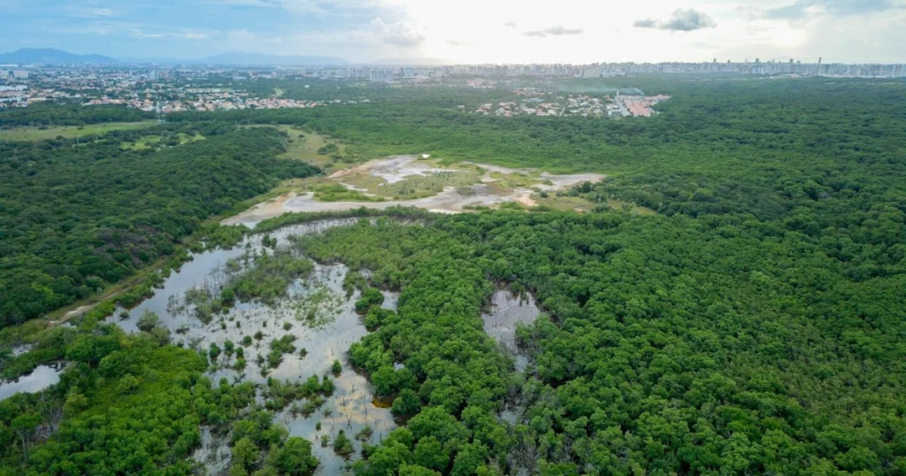 como funciona a fiscalização ambiental