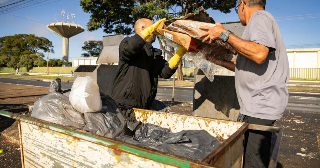 Como Denunciar Crime Ambiental no Brasil: Guia Completo como denunciar crime ambiental no Brasil