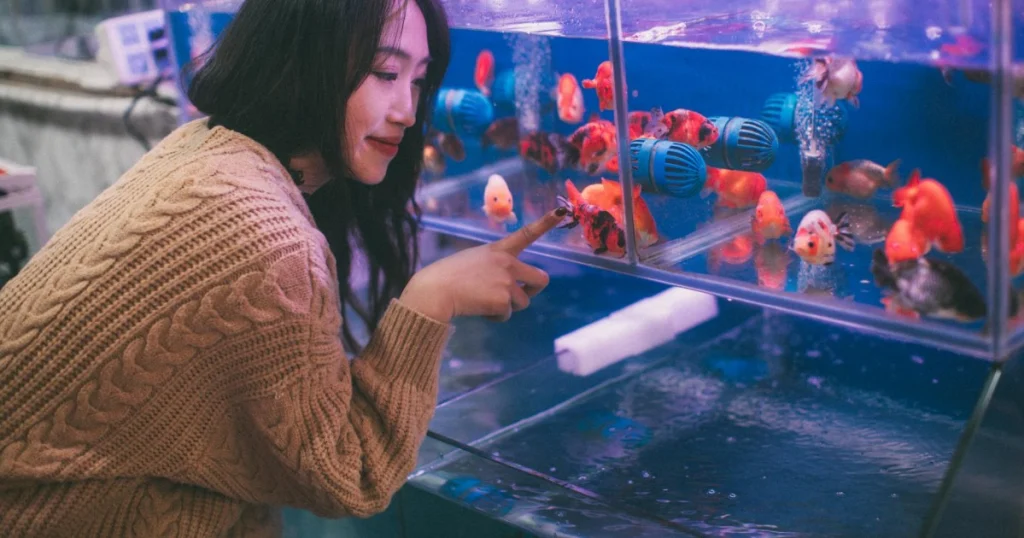 dicas para quem quer abrir pet shop