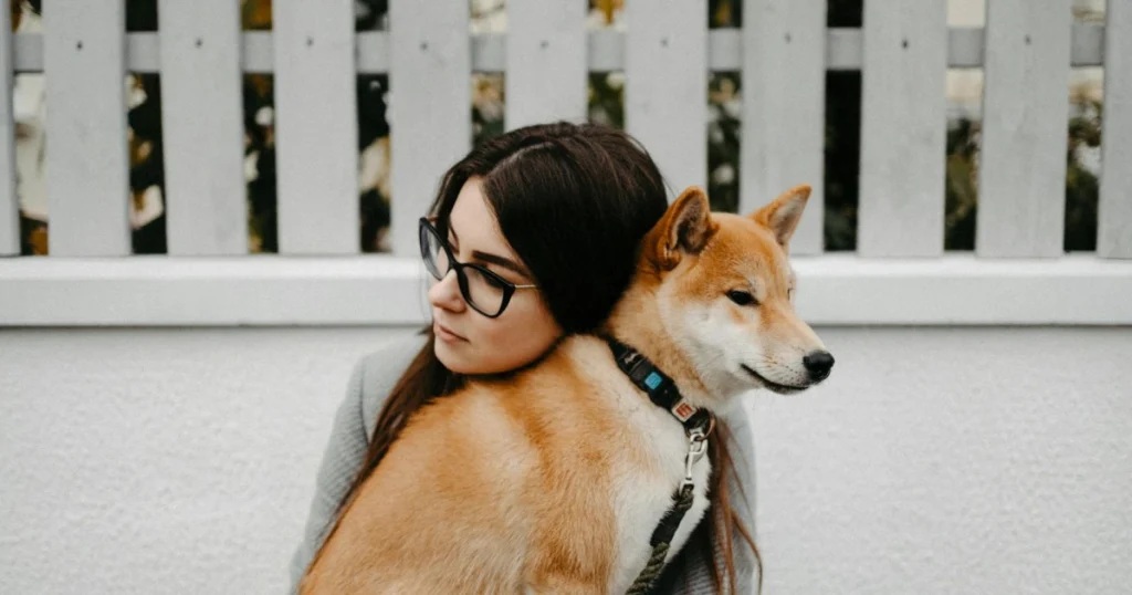Quanto Custa Ter um Cachorro por Mês: Guia Completo quanto custa ter um cachorro por mês