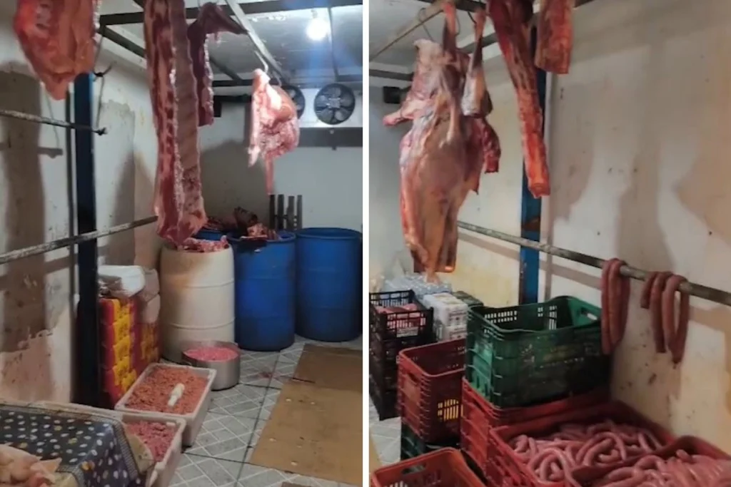 Polícia desmantela matadouro clandestino e apreende grande quantidade de carne em Jacareí