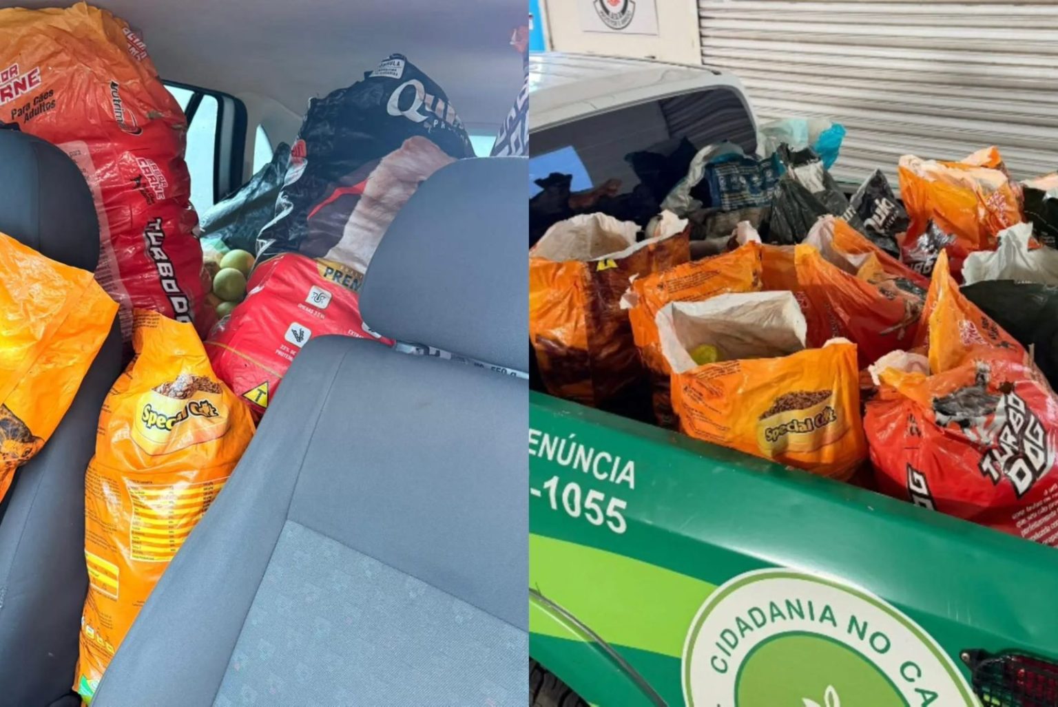 Guarda Civil Municipal recupera 200 quilos de laranjas furtadas de fazenda em operação no interior de SP