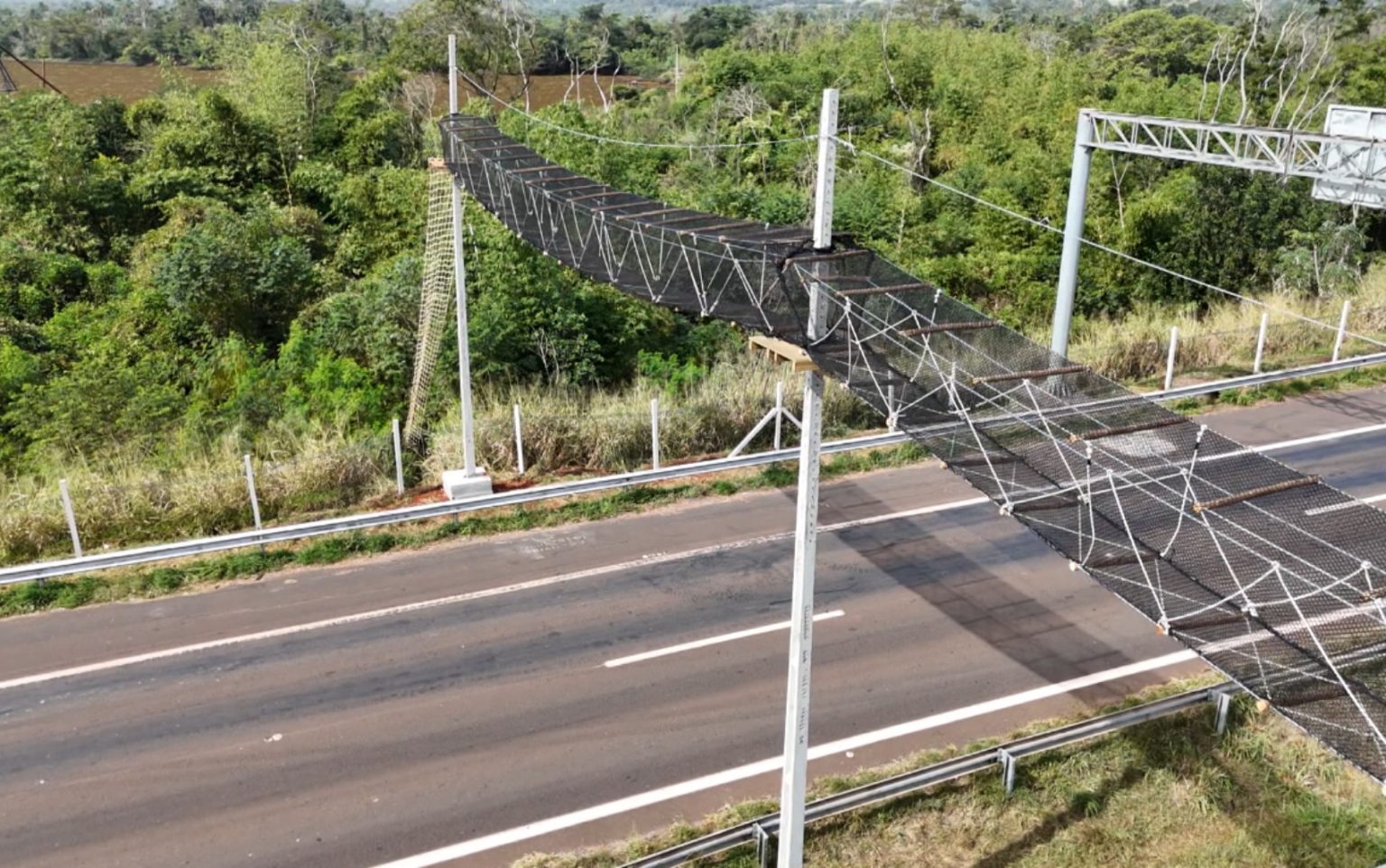 Passagem aérea para animais silvestres é instalada na região de Ribeirão Preto, SP