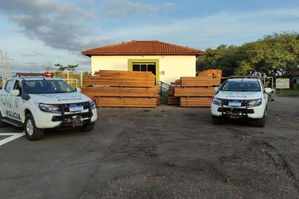 Motorista e empresa multados em mais de R$ 32 mil por transportar madeira nativa sem documentação em SP