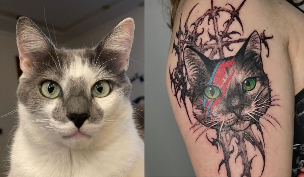 Psicóloga de Itu, interior de SP, eterniza memória de seu gato em tatuagem com cinzas
