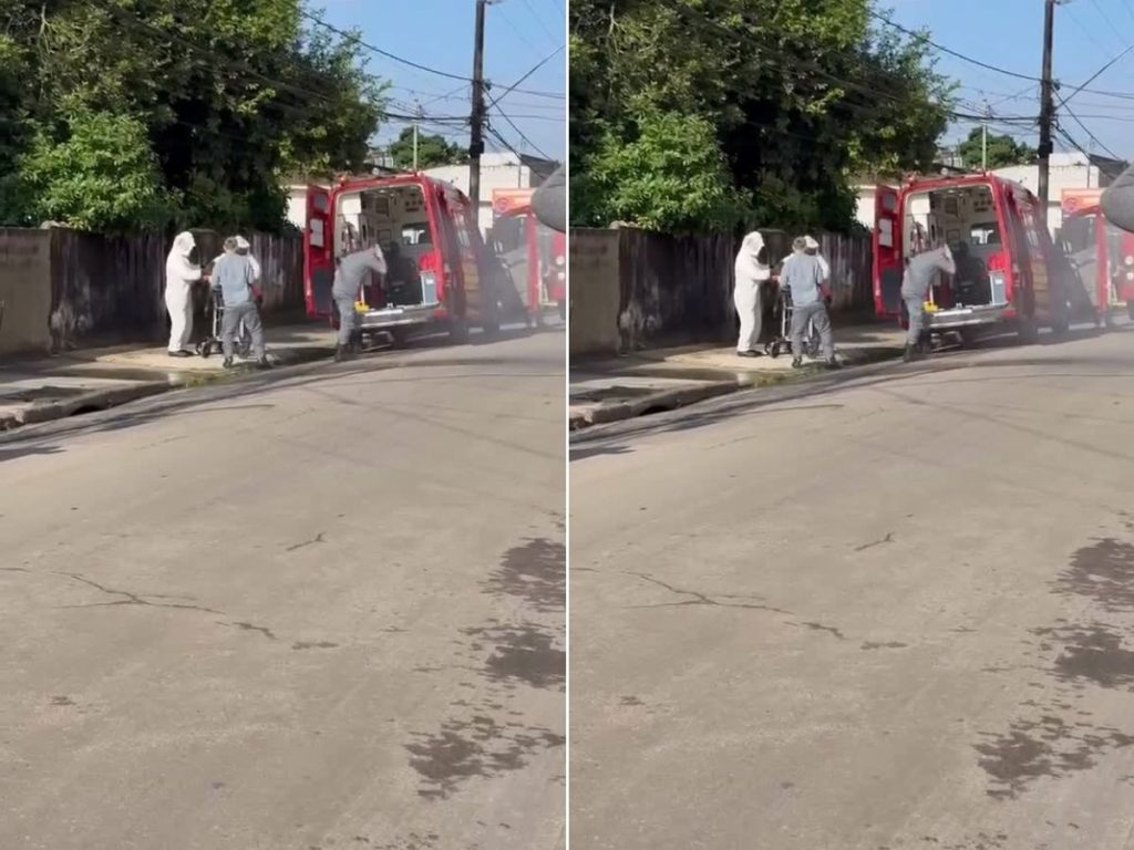 Homem resgatado inconsciente após ataque de enxame de abelhas no litoral de SP
