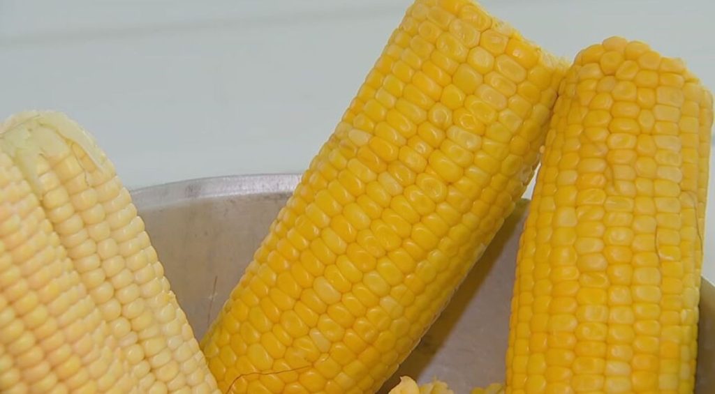 Chef bauruense ensina receitas juninas com milho: creme salgado e manjar econômicos