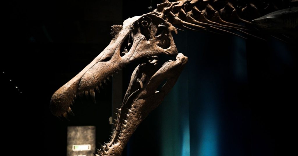 Descubra Curiosidades Fascinantes Sobre Línguas Extintas curiosidades sobre línguas extintas