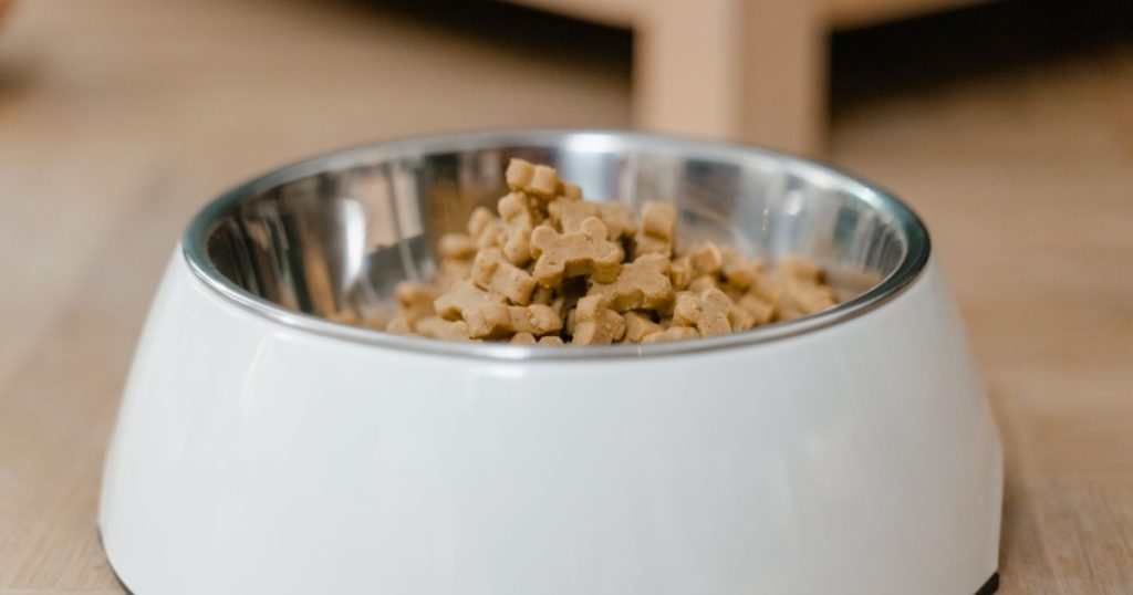 como fazer petisco caseiro saudável para cão