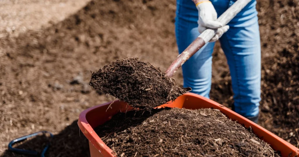 como fazer compostagem em apartamento