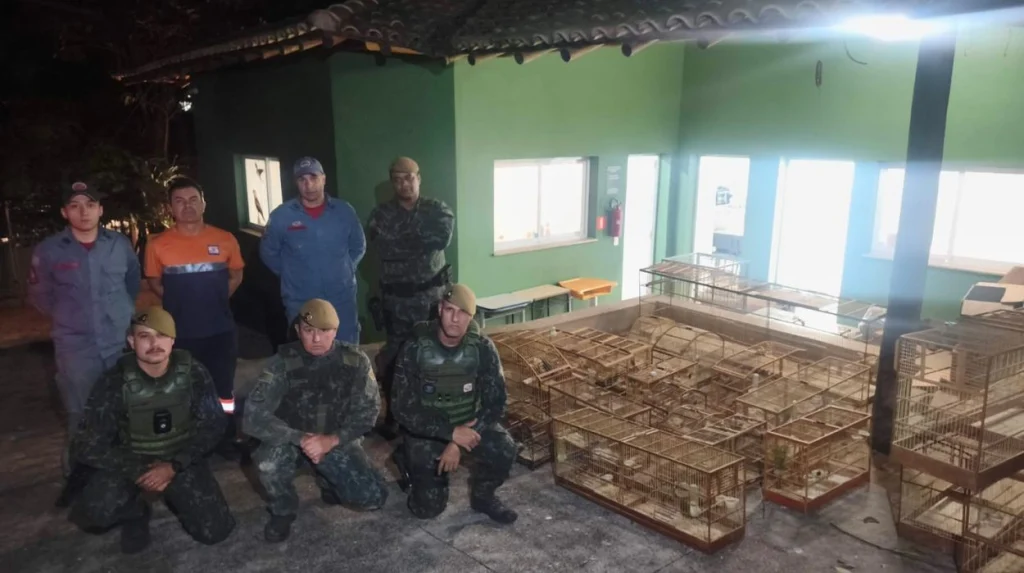 Homem é multado em R$ 84 mil por maus-tratos e cativeiro irregular de aves em Araras, SP