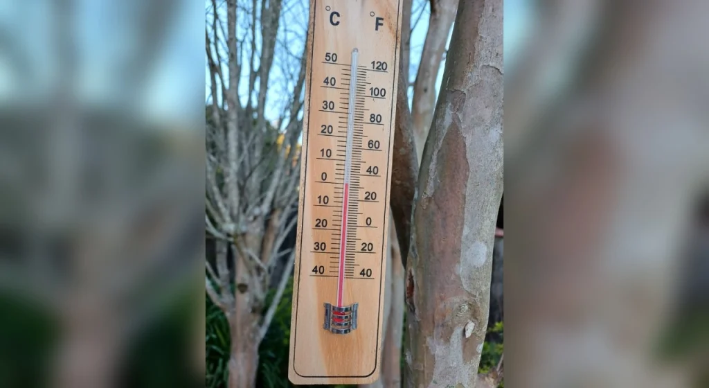 Frio intenso atinge Jarinu e regiões do interior de SP; confira mínimas e previsões