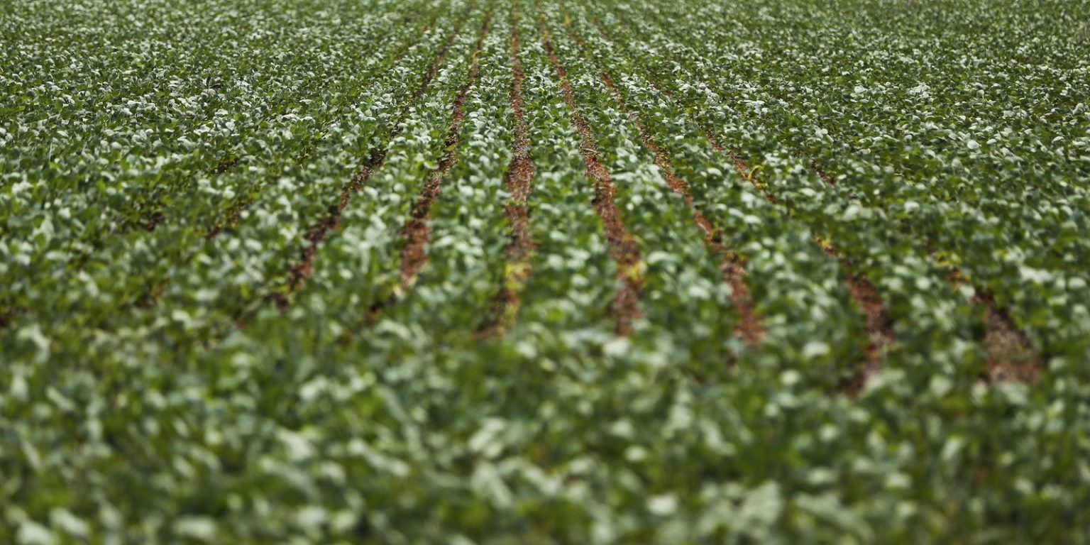 Reunião entre governo e bancada do agro termina sem acordo sobre dívidas rurais
