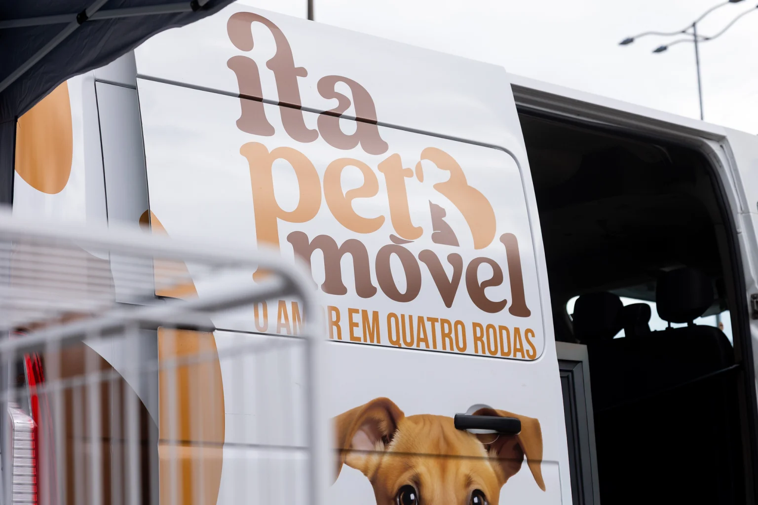 Prefeitura de Itapevi realiza evento de adoção de cães e gatos para estimular o cuidado responsável dos animais