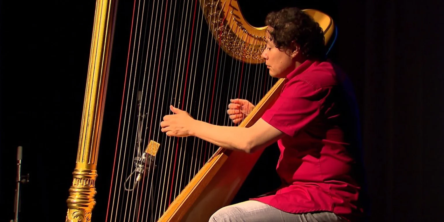 RioHarpFestival: Capital Mundial da Harpa em Julho