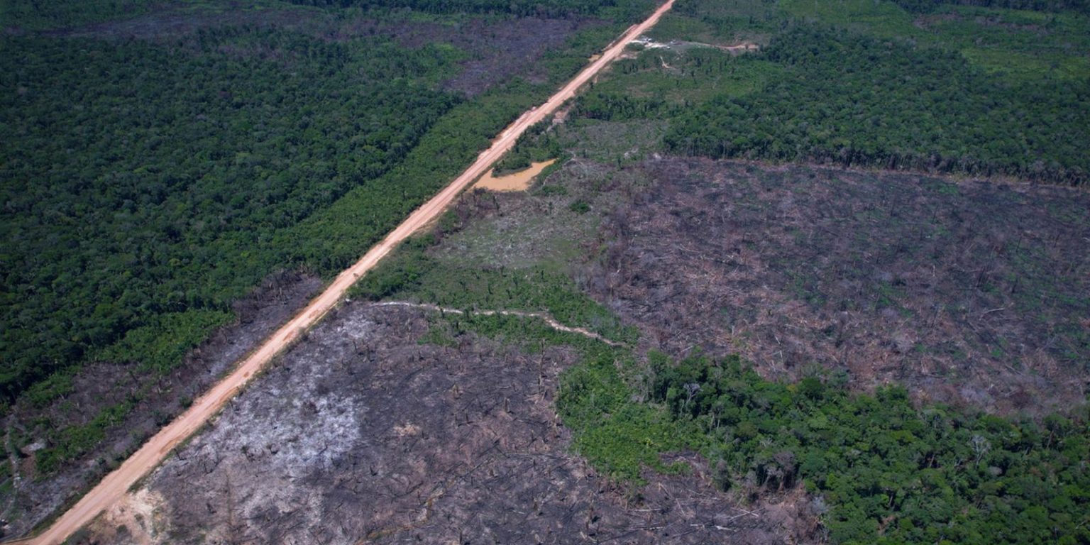 Redução do desmatamento na Amazônia contrasta com argumentos dos EUA para imposição de tarifas