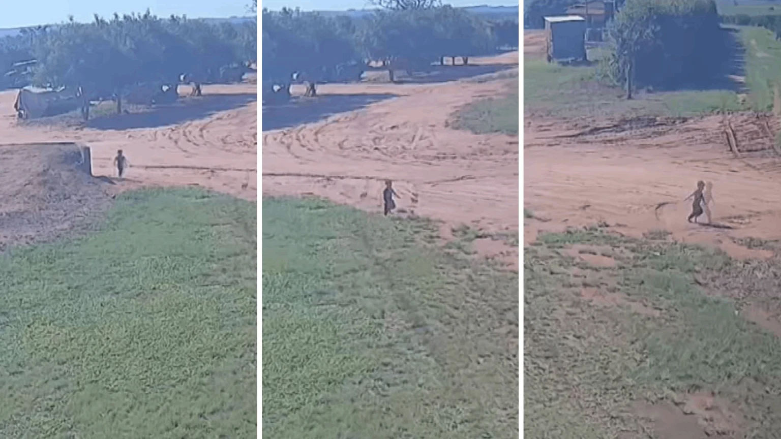 Menino de 2 anos é resgatado após desaparecer em fazenda e mobilizar buscas no interior de SP