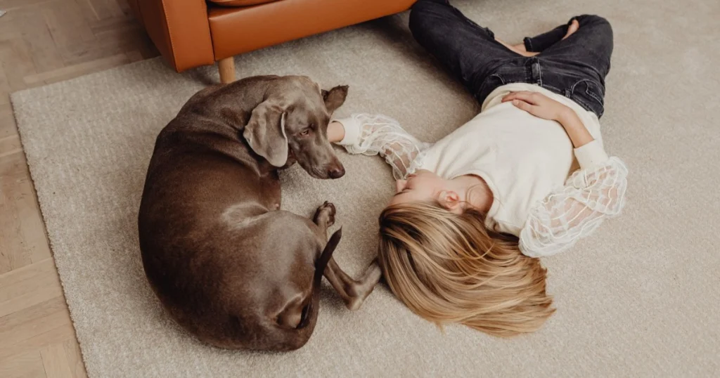 como criar um espaço seguro para o pet em casa