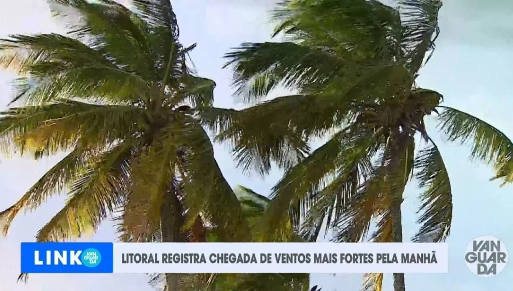 Alerta para ventania fecha parque, suspende aulas e consultas no Vale e Litoral Norte; ventos fortes param balsa