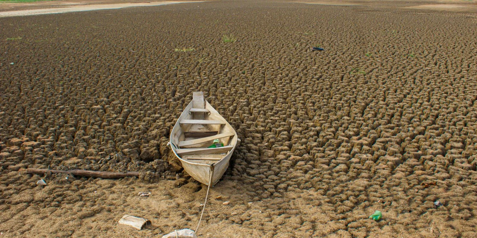 Brasil se compromete a restaurar 163 mil km² de terras degradadas até 2030
