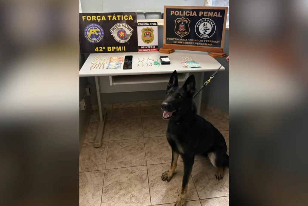 Operação policial resulta na prisão de dois homens e apreensão de adolescente com crack em Mirante do Paranapanema