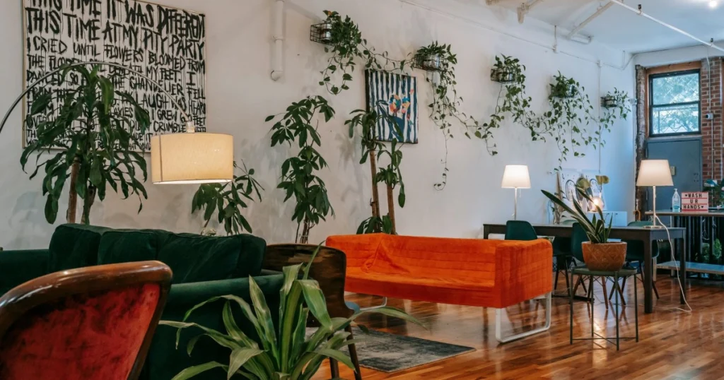 como usar plantas na decoração de forma criativa