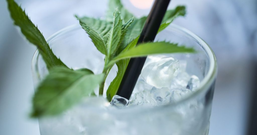 Bebidas Refrescantes para o Verão: Receitas Práticas e Deliciosas como fazer bebidas refrescantes para o verão