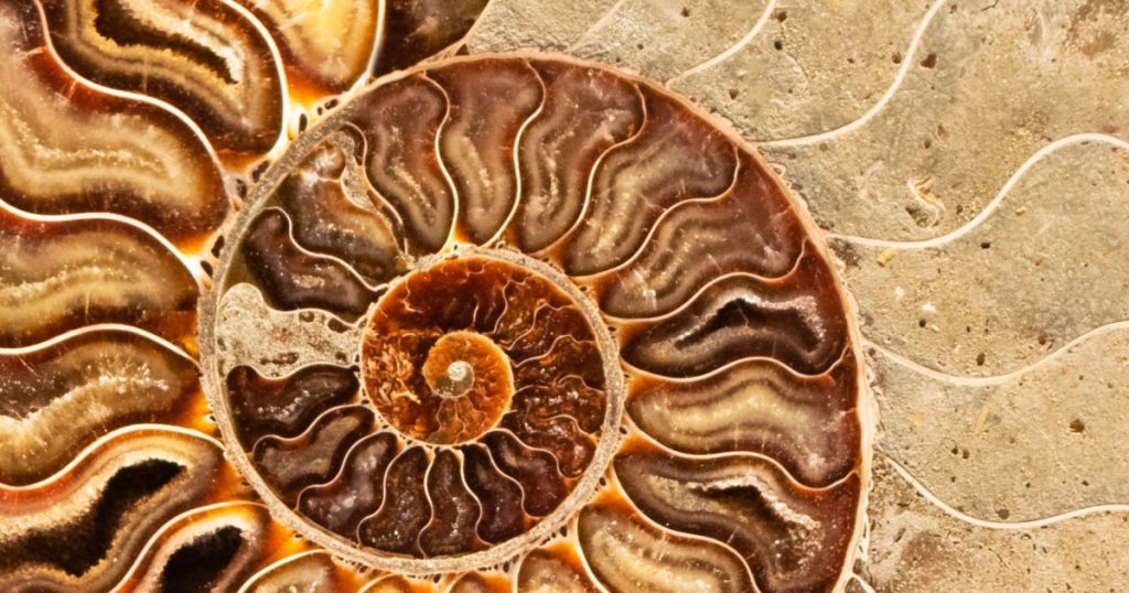 o que é a teoria da evolução cultural