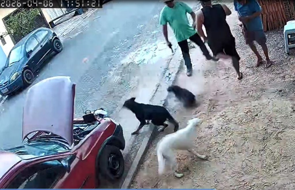 Vereador que atirou próximo a cachorro tem mandato cassado em Itu