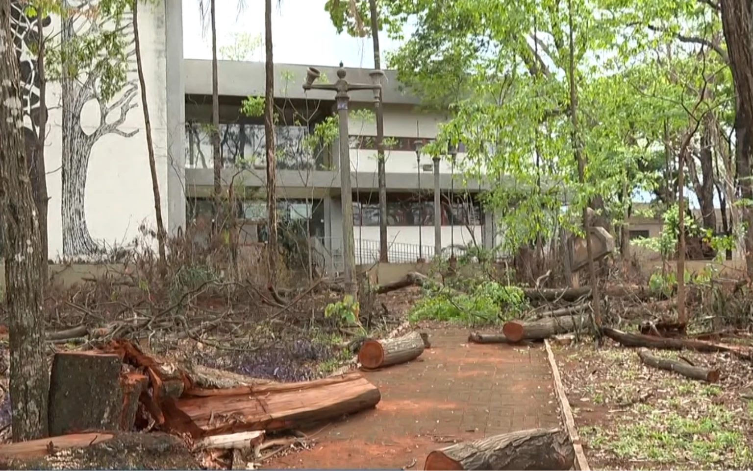 Teatros em Ribeirão Preto, SP, seguem fechados após temporal: impacto cultural e desafios