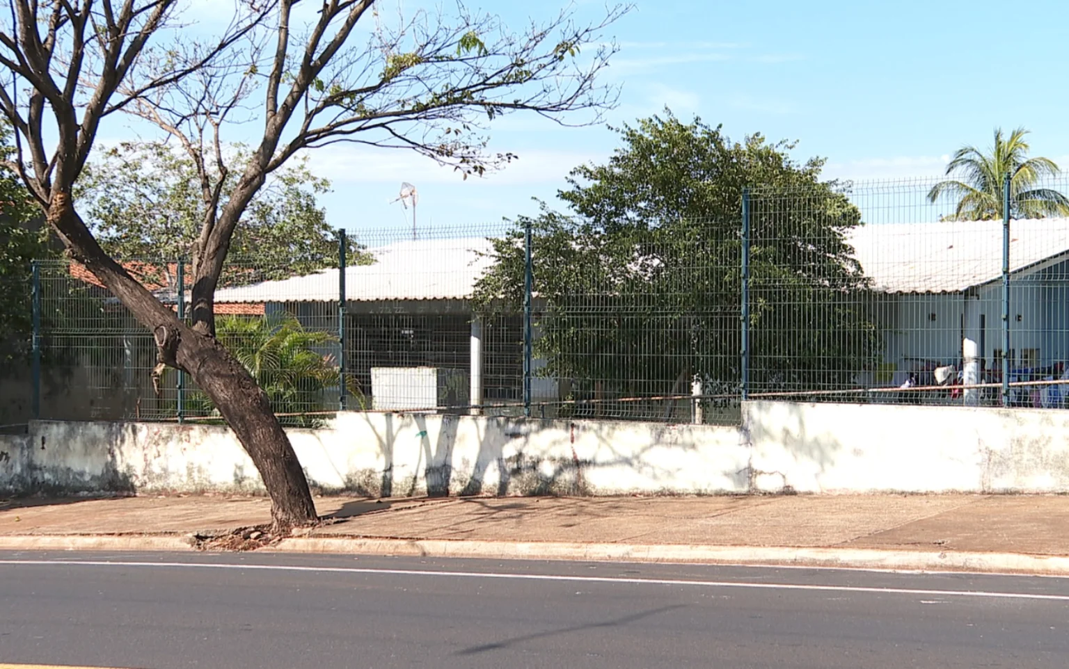 Prefeitura de Ribeirão Preto é condenada por negligência após jovem acolhida por abrigo ter larvas na cabeça pós-cirurgia