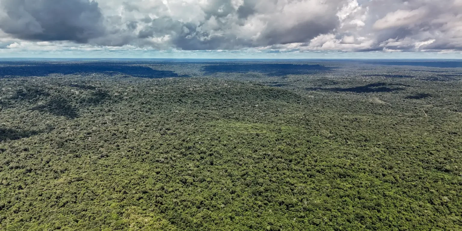 Brasil recebe autorização de US$ 1 bilhão do BID para Eco Invest Brasil