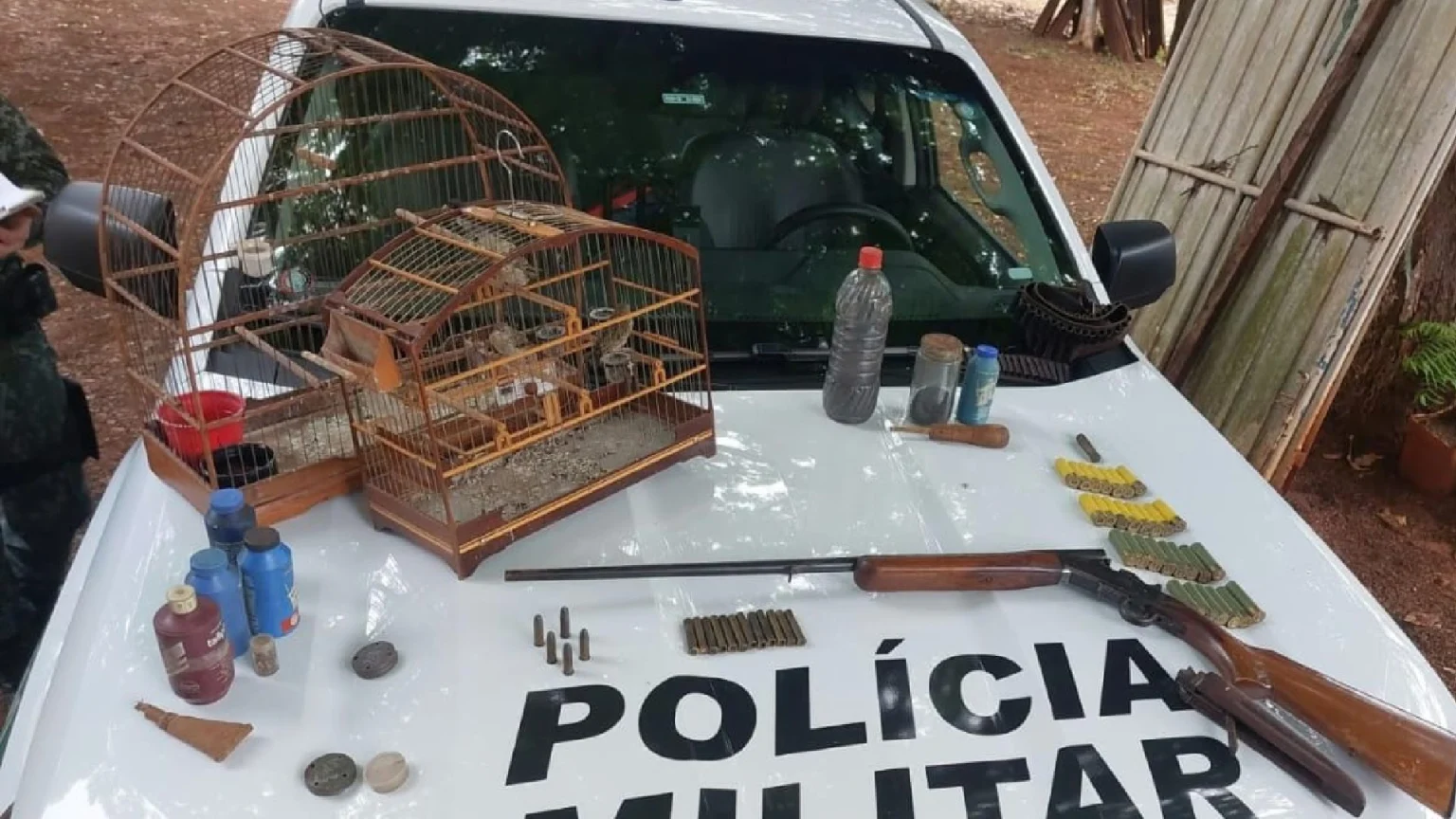 Homem em Jaú é Multado por Manter Aves Silvestres em Cativeiro e Acaba Preso por Posse de Arma