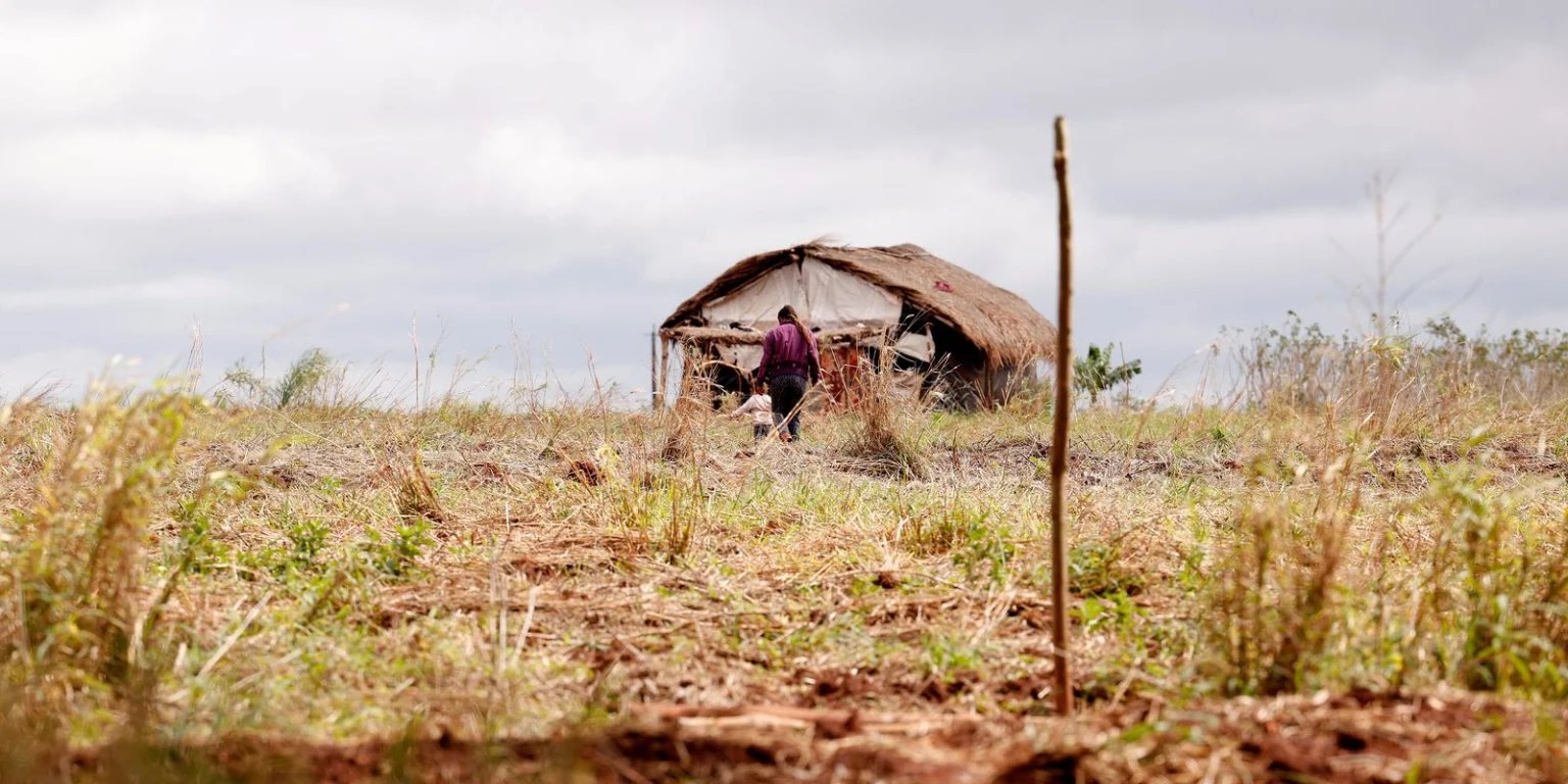 Redução de Assassinatos no Campo e Aumento de Conflitos: Cenário Atual no Brasil