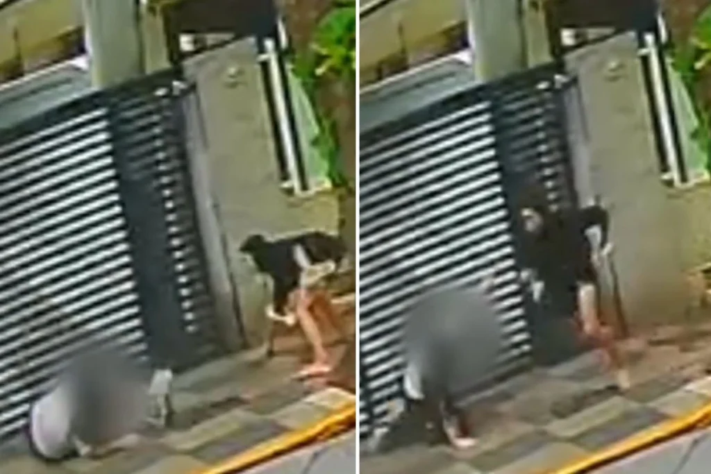 Assaltante persegue e rouba mulher em calçada de Santos; VÍDEO flagra ação