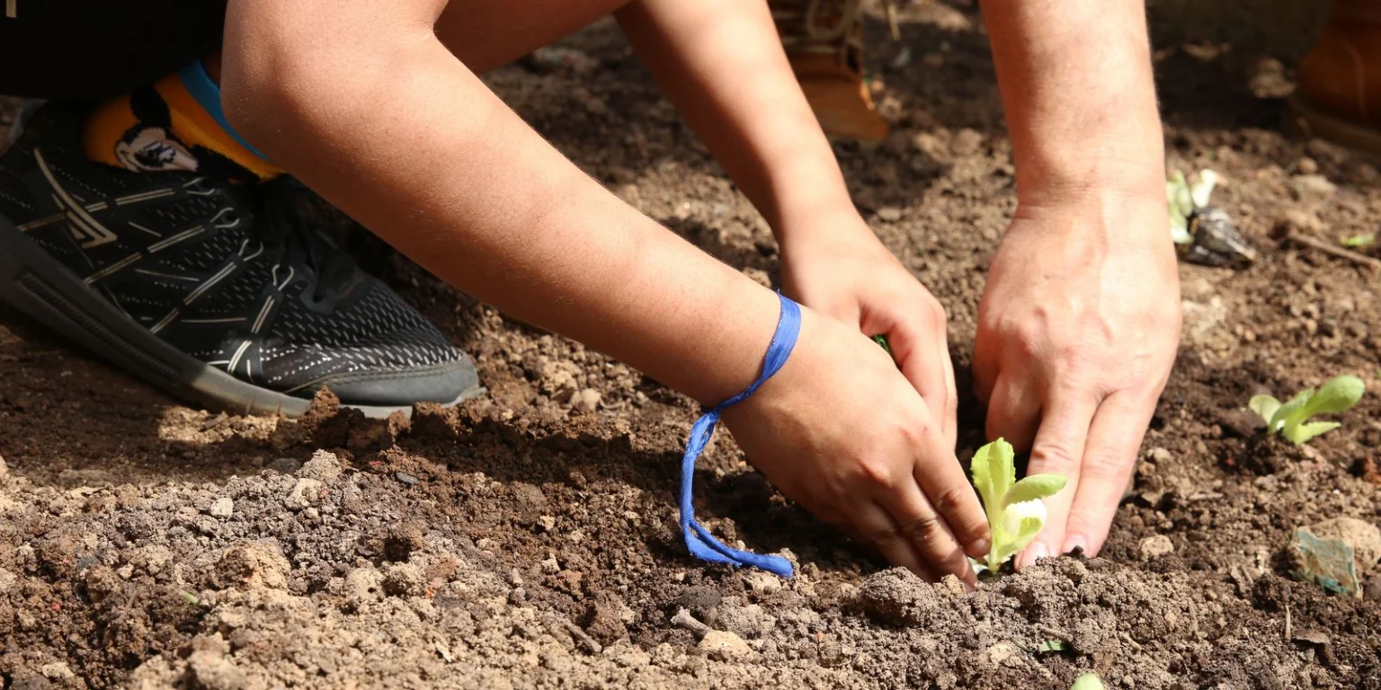 Entidades instigam apoio de candidatos em prol da agroecologia em São Paulo